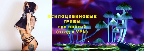 бошки Беломорск
