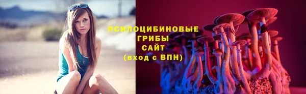бошки Беломорск