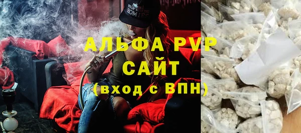 дмт Белокуриха