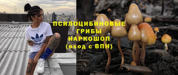 бошки Беломорск