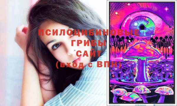 бошки Беломорск
