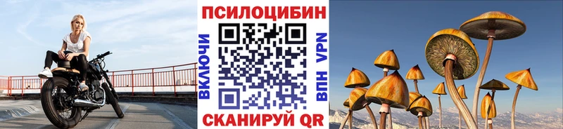 Псилоцибиновые грибы GOLDEN TEACHER Навашино